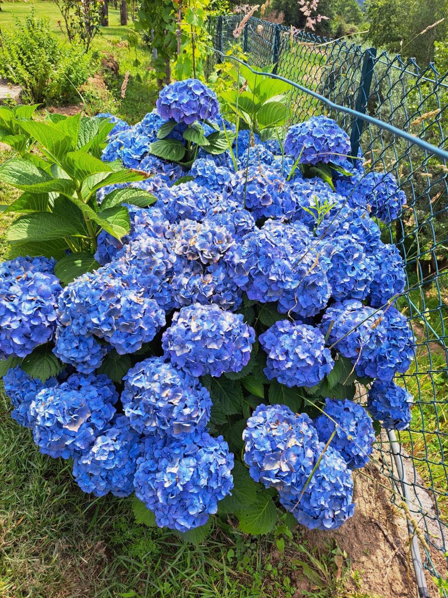 库塔迪维拉乡村民宿 Alpendurada 外观 照片