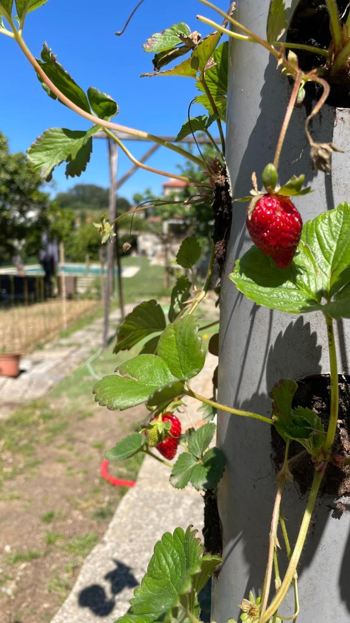 库塔迪维拉乡村民宿 Alpendurada 外观 照片